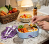 Premium Stainless Steel Bento Lunch Box with Integrated Utensils & Leak - Proof Snack Container – 650ml - Wellhomes™